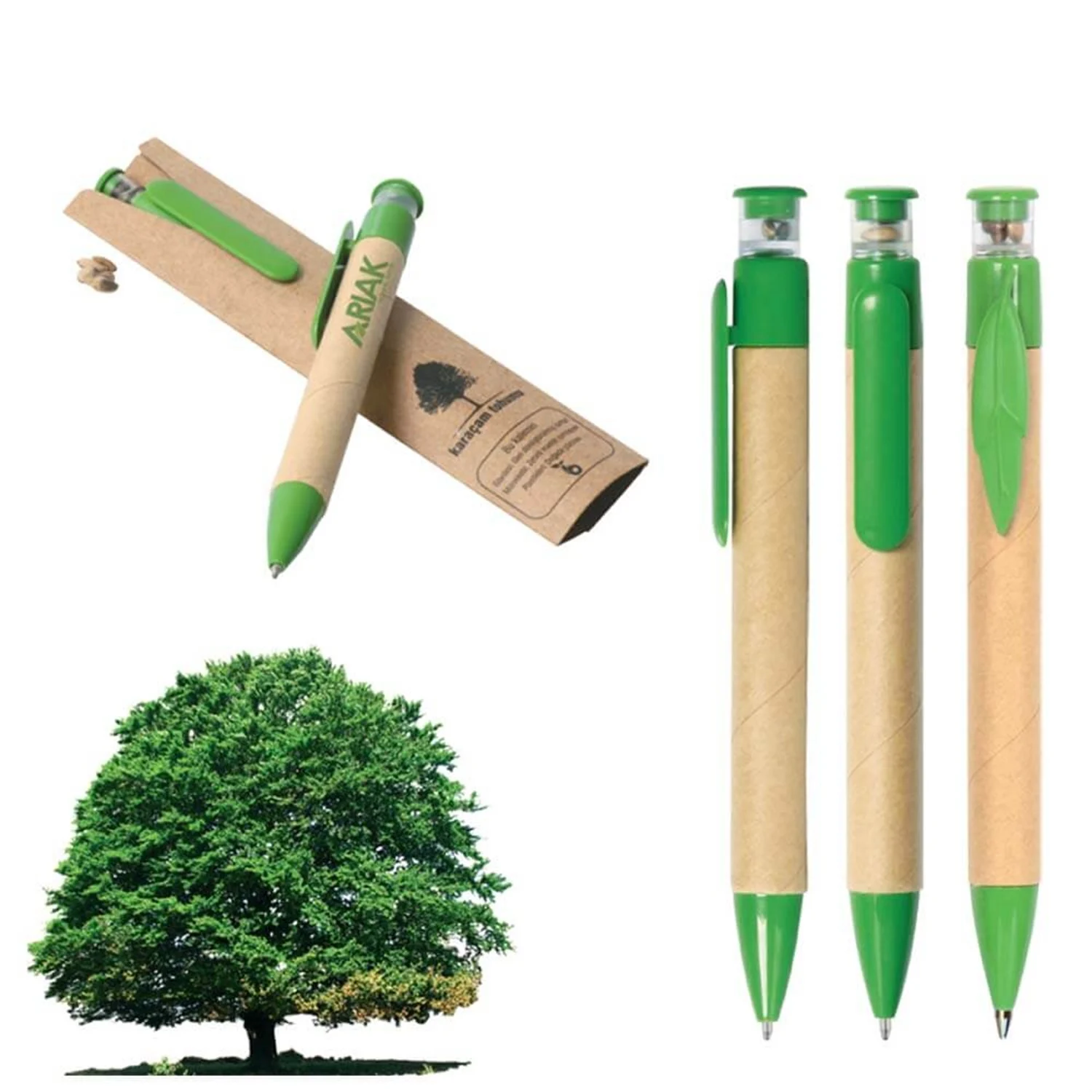 Dünyada Bir İlk  Tohumlu Kalem