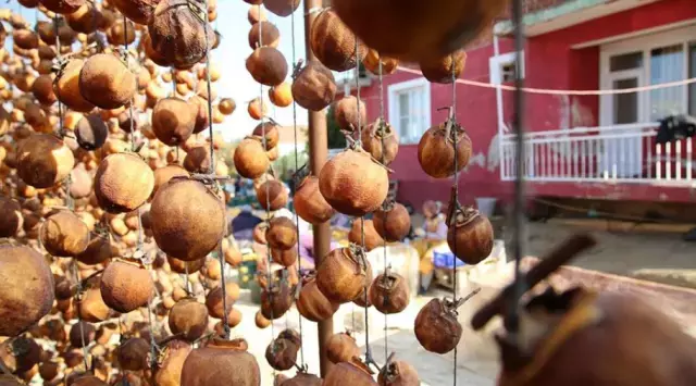 Bah&ccedil;eden toplayıp sobada 2 ay kuruttuktan sonra kilosunu 600 liraya satıyorlar